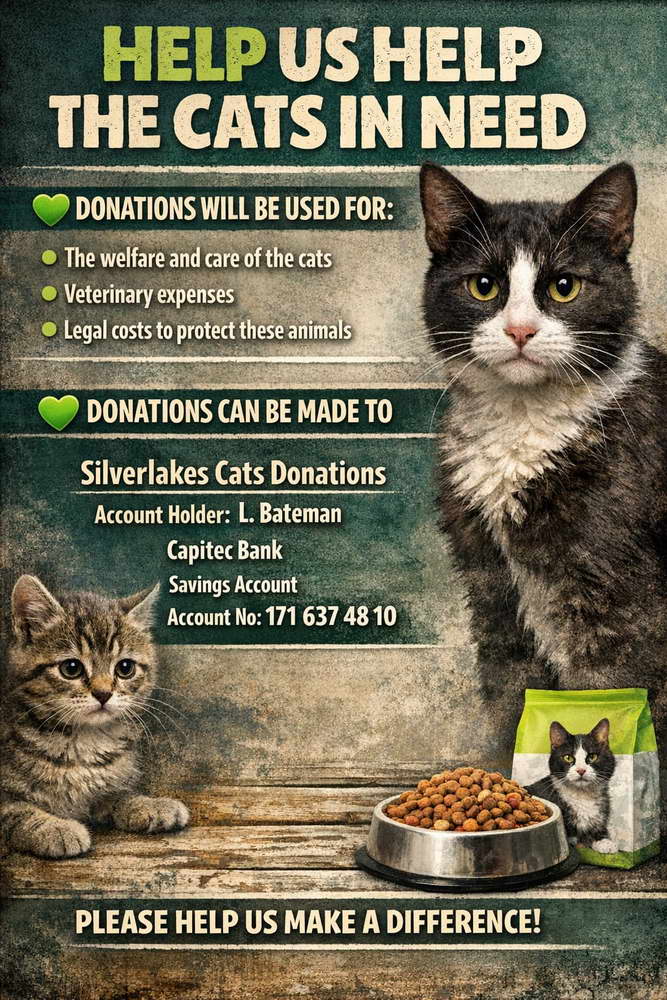 Silverlakes Cats