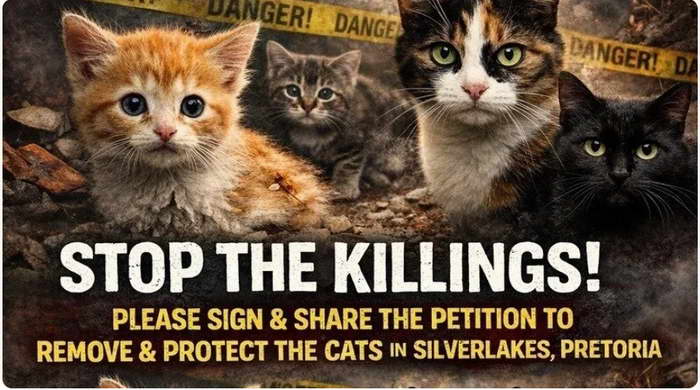 Click on the image to sign the petition