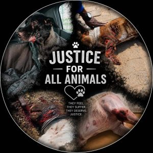 justice-they-feel.jpg